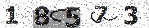 تصویر امنیتی