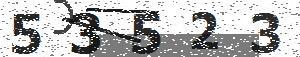 تصویر امنیتی